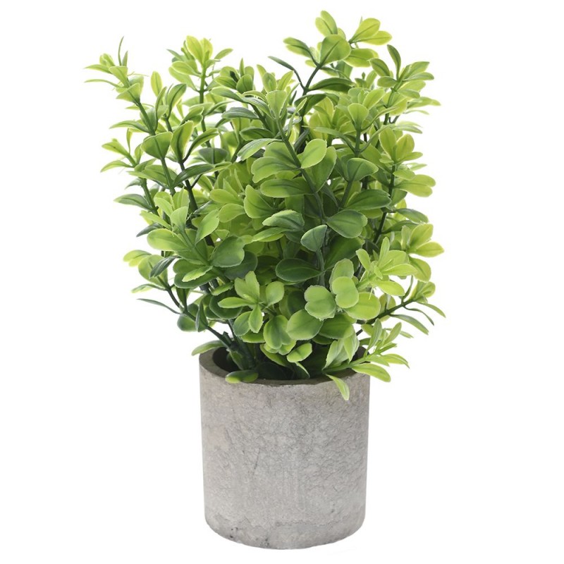 POT WITH GREEN PLANT 28CM