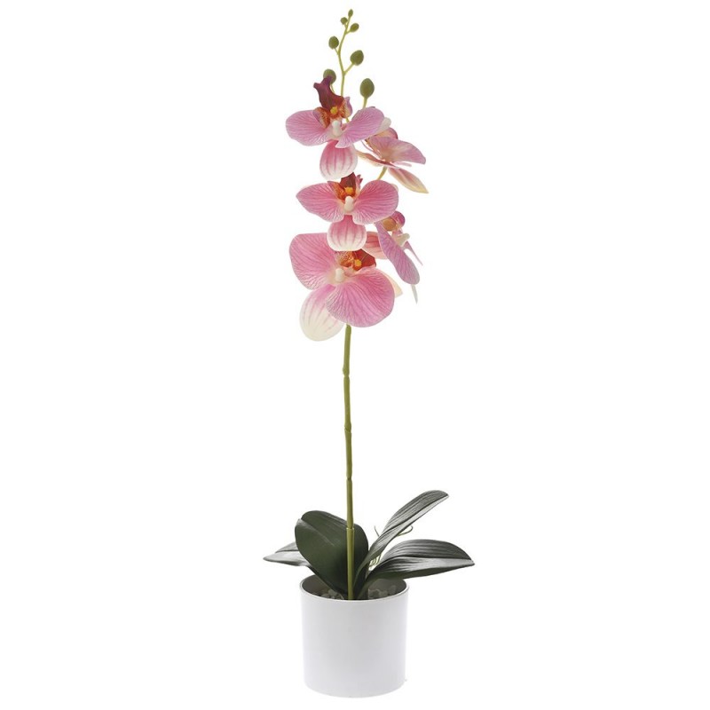 PINK ORCHID IN POT 10x9CM HEIGHT 49CM