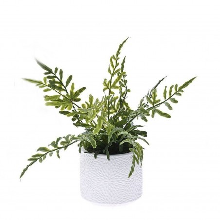 GREEN PLANT IN CEMENT POT 27 CM